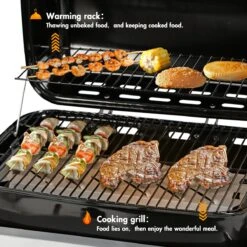 Bighorn Gasbarbecue En Grill – 2 Branders – Zwart -Barbecuebenodigdheden 1200x1200 9